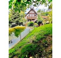 Ferienwohnung mit Streichelzoo❤️im Sauerland Nähe Winterberg ✨ - Bestwig