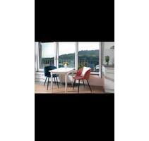 1-Zi~Wohnung, renoviert, komplett ausgestattet, grenznah - Lörrach Salzert