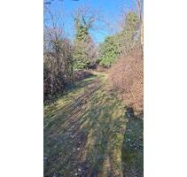 Freizeitgrundstück Garten - 74,00 EUR Kaltmiete, ca.  0,00 m² in Gemünden am Main (PLZ: 97737)