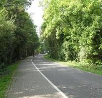 Helle Dachgeschosswohnung - 585,00 EUR Kaltmiete, in Wuppertal (PLZ: 42107) Elberfeld