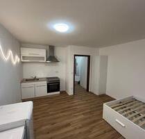 TOP-Renovierte Ein-Zimmer-Wohnung -möbliert - Fürth Altstadt