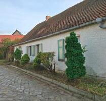Entkerntes Einfamilienhaus, schönes Grundstück, 2 Nebengebäude - Elbe-Parey