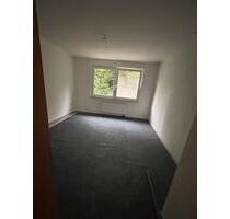 Top 3 Zimmer Wohnung in Welper !!Neue Fenster, frisch gestrichen! - Hattingen Blankenstein