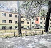 Untermiete für ruhigen Büroraum (17 qm) - ab 19 €Tag - Berlin Treptow-Köpenick