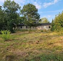 Vermiete Lager Fläche Halle Gewerbe 99996 Ammern - Mühlhausen (Thüringen)