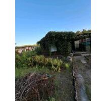 Garten abzugeben - 1.000,00 EUR Kaltmiete, ca.  0,00 m² in Greifswald (PLZ: 17489)