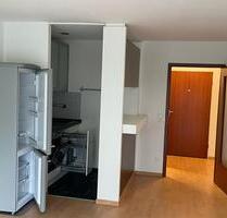 1 Zi-Apartement mit Schwimmbad u. Sauna im Hause, TG, SW-Loggia - Ingolstadt Friedrichshofen-Hollerstauden