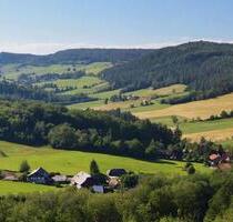 1.000 m² Baugrundstück in Sophienthal ohne Bauzwang - Weidenberg