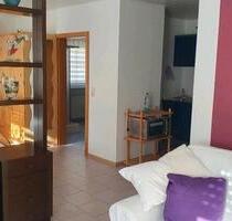 1.-Zimmer-Whg. 510.€ warm, Wochenendheimfahrer 40qm - Dettelbach