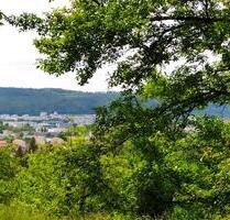 Garten in Esslingen-Zell, Idyllisch, ruhig, zu verpachten - Esslingen am Neckar Oberesslingen