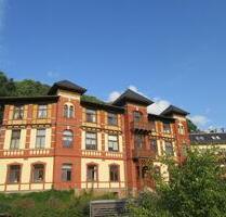 SCHMUCKSTÜCK IM WEINBERGPALAIS! EXKLUSIV WOHNEN, 2.OG+DACHTERR., PARKETT, KAMIN, GWC, LIFT, TGSP - Radebeul