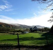 Hochwertige Wohnung in idyllischer Alleinlage auf Pferdehof - Deggenhausertal