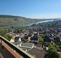 3 Zi. Wohn. Provisionsfrei ab August 2025 zu Vermieten - Bingen am Rhein