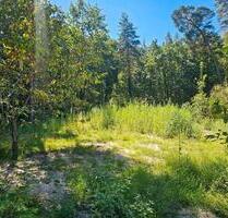 Schönwald glien Grund waldstück - Brandenburg an der Havel Bahnhofsvorstadt