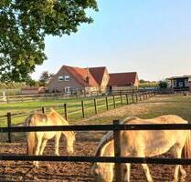 SCHÖNES Hof 2 Fam Haus für Gross Fam, Pferde-, Tier liebhaber. - Emlichheim