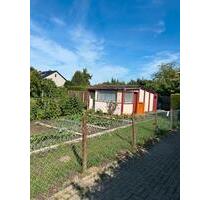 Gepflegter Kleingarten in Liebenburg