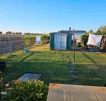 Pachtgarten - 2.000,00 EUR Kaltmiete, ca.  0,00 m² in Halle (Saale) (PLZ: 06128) Gesundbrunnen