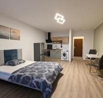 Sanierte,möblierte Wohnung mit Ausblick in Ludwigshafen - Ludwigshafen am Rhein Rheingönheim