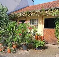 Hofreite mit Pferdeboxen - 449.000,00 EUR Kaufpreis, ca.  142,00 m² in Bechtolsheim (PLZ: 55234)