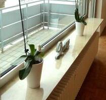 3 ZKB in MAUDACH - 795,00 EUR Kaltmiete, ca.  82,59 m² in Ludwigshafen am Rhein (PLZ: 67067) Rheingönheim