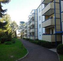 Gemütliche 2 raum Wohnung im Grünen mit Balkon - Döbeln