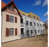 Stuckjuwel - Flügeltüren - Vollholzdielen - Marmorbad wunderbarer Altbaucharme - Erstbezug - Oberbarnim