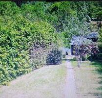 Sottersbachtal, Freizeit Gartengrundstück Gartenlaube - Herdorf