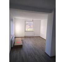 Moderne 2,5-Zimmer-Wohnung, neu renoviert - Delligsen