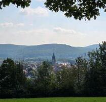 2 Zimmer - Wohnung mit Balkon - 470,00 EUR Kaltmiete, in Bad Driburg (PLZ: 33014)