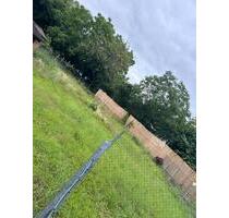 Garten zur Pacht - 150,00 EUR Kaltmiete, ca.  0,00 m² in Wiesloch (PLZ: 69168)
