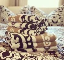 Ferienwohnung ab 15€ pro Person in Dresden