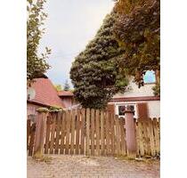 Urlaub am Rande des Schwarzwaldes ( 75242 Neuhausen)
