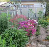 Kleingarten - 1.200,00 EUR Kaltmiete, ca.  0,00 m² in Freiberg (PLZ: 09599)