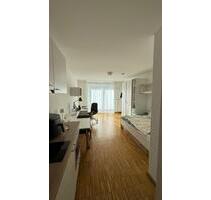 1-Zimmer-Apartment vom 01.09.2025-28.02.2026 zu vermieten - Mainz Gonsenheim