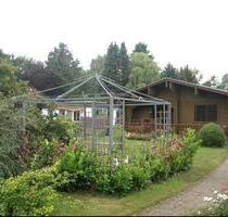 Holzhaus auf großem, ruhigem Grundstück Nähe Steinhuder Meer - Rehburg-Loccum