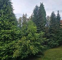 Neu eigentroffen 3 ZKB - 504,00 EUR Kaltmiete, in Alfeld (Leine) (PLZ: 31061)