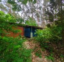 Wald-Wochenendgrundstück+Bungalow Dübener Heide - 5 Min. zum See - Kemberg