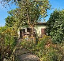 gebe in Rosenthal ein Garten ab - Delitzsch