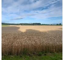 3 ha Landwirtschaftliches Grundstück, Ackerland - Oberrieden