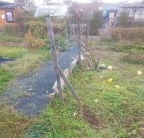 Großer garten - 1.500,00 EUR Kaltmiete, ca.  0,00 m² in Pirna (PLZ: 01796)