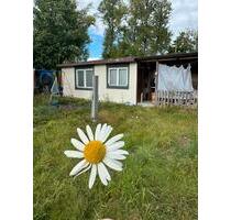 Garten zum mieten - 300,00 EUR Kaltmiete, ca.  0,00 m² in Leipzig (PLZ: 04299) Südost