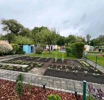 Garten zu Verpachten - 800,00 EUR Kaltmiete, ca.  0,00 m² in Elsterwerda (PLZ: 04910)