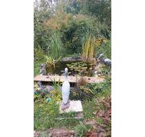 Garten zu pacht - 1.000,00 EUR Kaltmiete, ca.  0,00 m² in Neubrandenburg (PLZ: 17034) Datzeberg