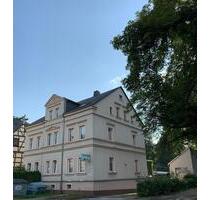 Gemütliche 2-Raumwohnung mit Einbauküche und Tageslichtbad - Chemnitz Altchemnitz