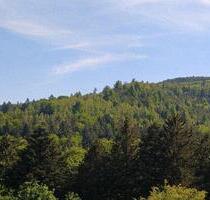 Sehr schöne ETW mit traumhafter Aussicht! - Bad Herrenalb