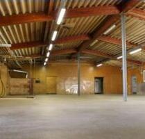 Lagerfläche Produktion in Halle 280qm ab 50qm auch monatsweise - Radolfzell am Bodensee