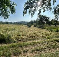 Freizeitgrundstück, Grünfläche, Gartengrundstück, Waldesch - Koblenz Bisholder