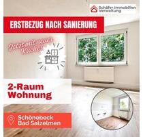 2-Zi.-Wohnung in Bad Salzelmen – saniert & mit neuer Küche! - Schönebeck (Elbe)