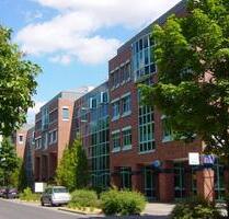 Gepflegte Büroflächen zu vermieten! 490m² + 189m² - Cottbus Merzdorf