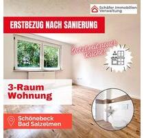 Erstbezug nach Sanierung: Stilvolle 3-Zimmer-Wohnung in Schönebeck-Bad Salzelmen ✨ - Schönebeck (Elbe)
